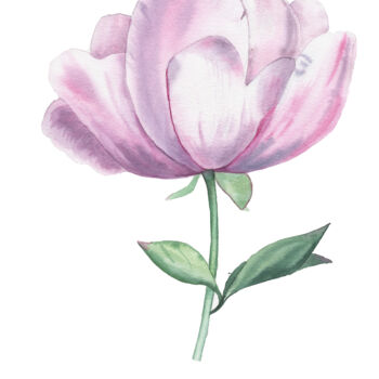 Картина под названием "Peony on a stem" - Mariia Kiseleva, Подлинное произведение искусства, Акварель