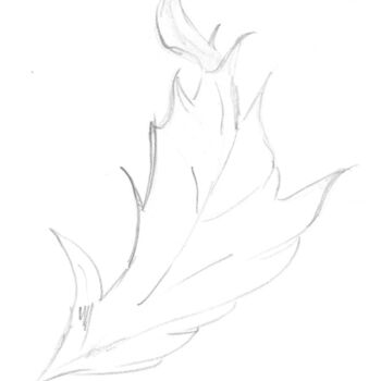 Drawing titled "Feuille d' automne" by Roberto Urbano, Original Artwork, Pencil