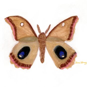 Painting titled "Moth Endearment II" by Janel Bragg, Original Artwork, Watercolor