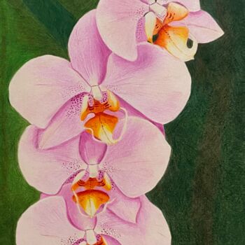 Dessin intitulée "branche d'orchidées" par Isabelle Tysiac, Œuvre d'art originale, Crayon