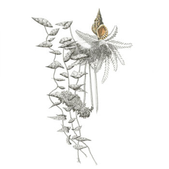 Dessin intitulée "Love vegetal #1" par Caroline Thunus, Œuvre d'art originale, Encre