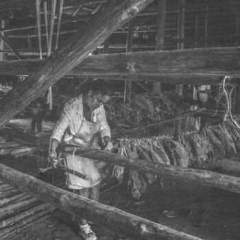 Photographie intitulée "A senhora do tabaco…" par Felipe Hueb, Œuvre d'art originale, Photographie numérique