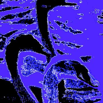 Photography titled "3 Swans 1g4c" by Ken Lerner, Original Artwork, Digital Photography