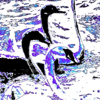 Photography titled "4 Swans 1d" by Ken Lerner, Original Artwork, Digital Photography