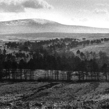 Photography titled "Wicklows 1991 - 1" by Nathalie Simon, Original Artwork, Analog photography Mounted on Cardboard
