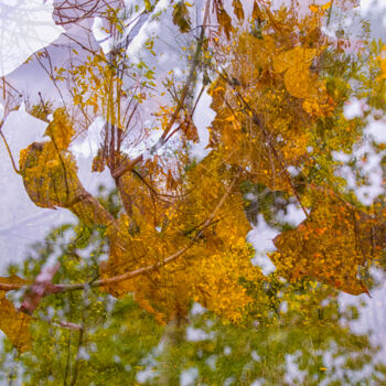 Fotografie getiteld "Cold, wet, autumn s…" door Alexander Mats, Origineel Kunstwerk, Digitale fotografie