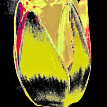 Photography titled "Central Park 5 - Be…" by Ken Lerner, Original Artwork, Digital Photography