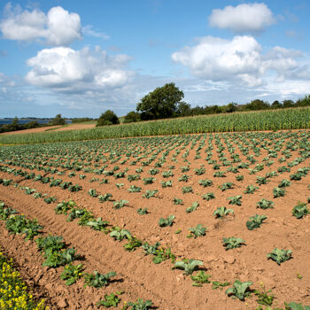 Fotografie getiteld "Henvic 7." door Thierry Martin, Origineel Kunstwerk, Digitale fotografie