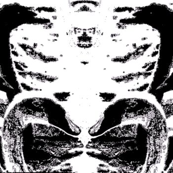 Photography titled "12 Swans 3k6" by Ken Lerner, Original Artwork, Digital Photography
