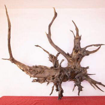 Γλυπτική με τίτλο "Acacia hanging deco…" από Jozef Sedmak, Αυθεντικά έργα τέχνης, Ξύλο