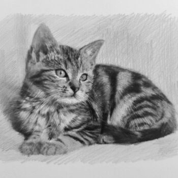 Dessin intitulée "Kitten Drawing" par Michał Stetkiewicz, Œuvre d'art originale, Crayon