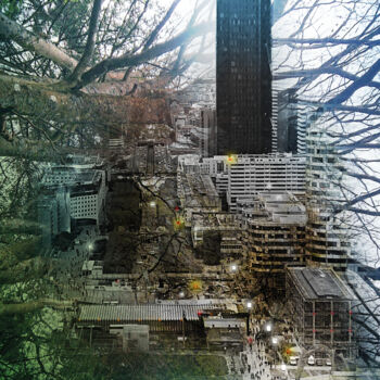 Digital Arts titled "DEFOREST" by Pascal Carro (ORAK), Original Artwork, Photo Montage