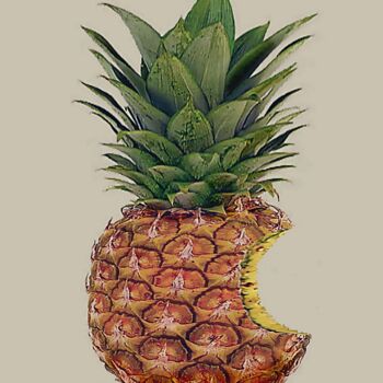 数字艺术 标题为“PINE'APPLE” 由Astr, 原创艺术品, 数字油画