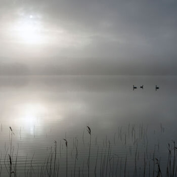Fotografia intitolato "Misty morning 8" da Trank, Opera d'arte originale, Fotografia digitale