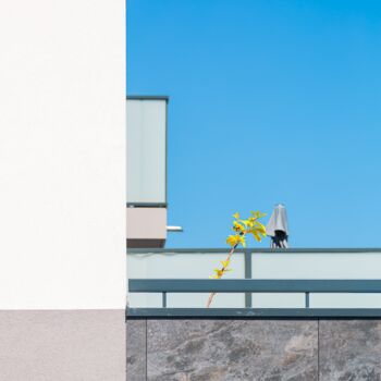 Photography titled "ESTIVITE 1" by P. Zimmermann, Original Artwork, Digital Photography Mounted on Aluminium