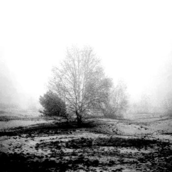 Photographie intitulée "white" par Magda Durda, Œuvre d'art originale, Photographie non manipulée