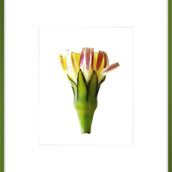 Photography titled "INTROVERT (framed)" by Astr, Original Artwork, Digital Photography Mounted on Other rigid panel