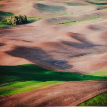 Fotografie getiteld "Palouse Landscape" door Decesare, Origineel Kunstwerk, Digitale fotografie