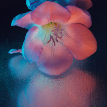 Fotografía titulada "Colors of night" por Tatyana Laer, Obra de arte original, Fotografía digital