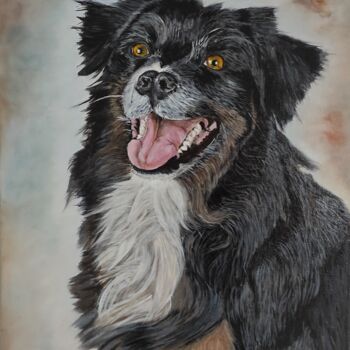 Schilderij getiteld "Chien croisé Border…" door Pascal Bourgouin, Origineel Kunstwerk, Acryl