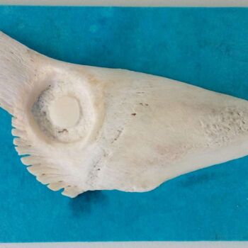 "Woodpecker" başlıklı Heykel Serendipity Liche tarafından, Orijinal sanat, Kemik Ahşap panel üzerine monte edilmiş