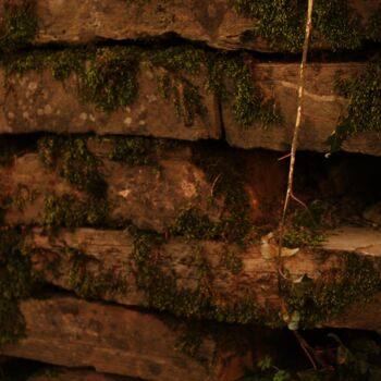 Photography titled "muro di pietra" by Lorenzo Corti, Original Artwork, Digital Photography