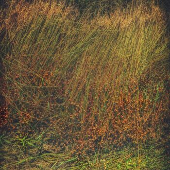 Photography titled "FLAX HARVEST • RACC…" by Astr, Original Artwork, Non Manipulated Photography