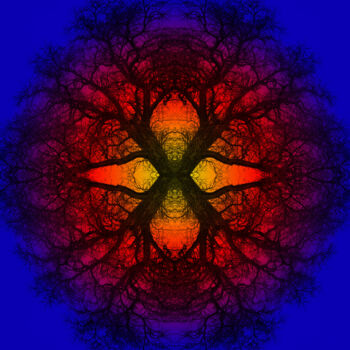 Artes digitais intitulada "Mandala # 4" por Franz Hümpfner, Obras de arte originais, Fotografia digital Montado em Alumínio