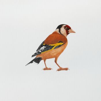제목이 "Wise goldfinch"인 미술작품 Karina Danylchuk로, 원작, 수채화