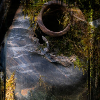 Photographie intitulée "Cyclope 1" par Borrel, Œuvre d'art originale, Photographie numérique Monté sur Plexiglas