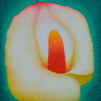Painting titled "一朵马蹄莲" by Zhang Kai Xi, Original Artwork, Oil Mounted on Wood Stretcher frame