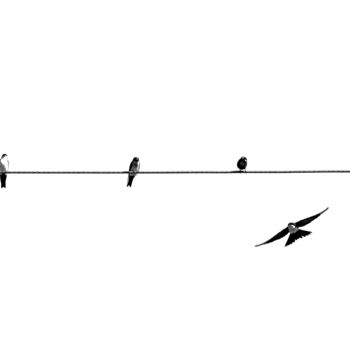 "What I Have 15" başlıklı Fotoğraf Sergio Benetti tarafından, Orijinal sanat, Dijital Fotoğrafçılık