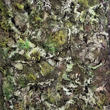 Schilderij getiteld "Mousse et lichens 1" door Dominique Jolivet, Origineel Kunstwerk, Pastel