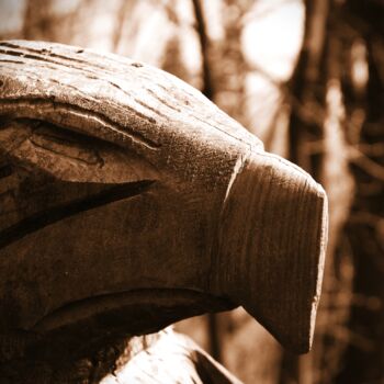 "scultura aquila" başlıklı Fotoğraf Lorenzo Corti tarafından, Orijinal sanat, Dijital Fotoğrafçılık