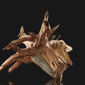 Sculpture titled "Wood sculpture" by Matt Christine, Original Artwork, Wood