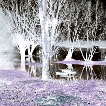 Photographie intitulée "au bord de la Loire…" par Laurent Chabrillat, Œuvre d'art originale, Photographie numérique Monté su…