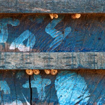 Photographie intitulée "Les escargots" par Jacques Jégo, Œuvre d'art originale, Photographie non manipulée