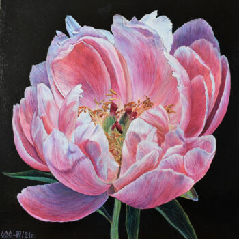 Painting titled "Peony on black" by Sergey Suslov, Original Artwork, Oil Mounted on Wood Stretcher frame