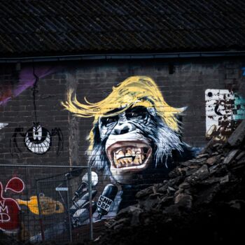 Φωτογραφία με τίτλο "Monkey Trump" από Laure Vignaux, Αυθεντικά έργα τέχνης, Ψηφιακή φωτογραφία