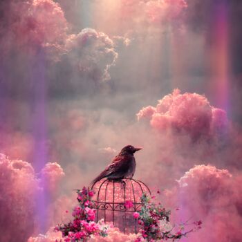 Digital Arts titled "Bird in a cage on a…" by Kristika, Original Artwork, Photo Montage