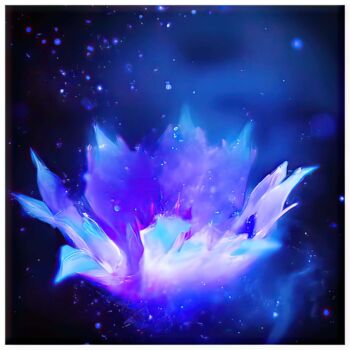 Digital Arts titled "Floraxy #1948" by Alexandre Kurcek (Sandro), Original Artwork, Digital Painting