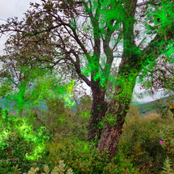 Photographie intitulée "Arbre vibrant" par Véronique Jaques, Œuvre d'art originale, Photographie manipulée