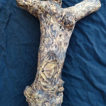 Sculpture intitulée "Moorleiche" par Reiner Poser, Œuvre d'art originale, Bois