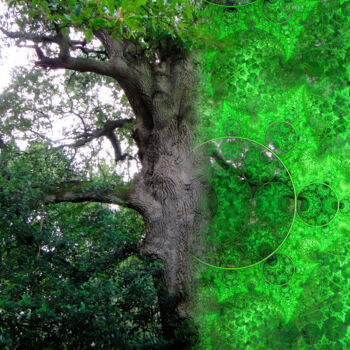 Photographie intitulée "Arbre aux visages" par Véronique Jaques, Œuvre d'art originale, Photographie manipulée