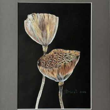 Pintura titulada "Dry lotuses on black" por Julia Birst, Obra de arte original, Acuarela
