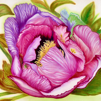 Dessin intitulée "Peony in full bloom" par Larisa Berzina, Œuvre d'art originale, Crayon
