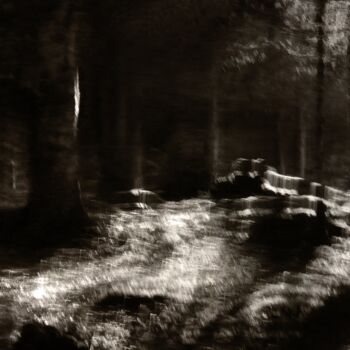Photography titled "Un coin sauvage....." by Philippe Berthier, Original Artwork, Digital Photography