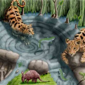 Digital Arts titled "The Fishing Hollow" by Jason Stillman, Original Artwork