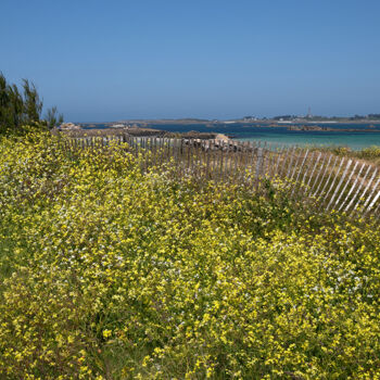 Photographie intitulée "Santec et l'île de…" par Thierry Martin, Œuvre d'art originale, Photographie numérique