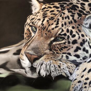 Pintura intitulada "Ani,al portrait ori…" por Deimante Bruzguliene, Obras de arte originais, Pastel